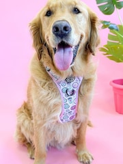 Pawsome Paws Boutique Pink blue Tough Trails Dog Harness - Image 1 of 4