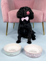 Pawsome Paws Boutique Set of 2 Pink/Blue Ceramic Pet Bowls - Image 1 of 5