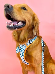 Pawsome Paws Boutique Teal White Tough Trails Dog Harness - Image 1 of 4