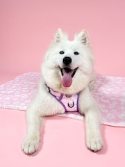 Pawsome Paws Boutique Pale Pink Tough Trails Dog Harness - Image 1 of 4