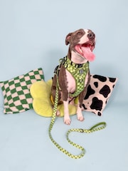 Pawsome Paws Boutique Dark Green Tough Trails Dog Harness - Image 1 of 4