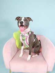 Pawsome Paws Boutique Green Tough Trails Dog Harness - Image 1 of 4