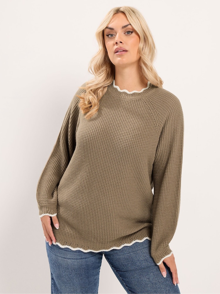 Yours Curve Brown Contrast Waffle Jumper - Image 1 of 6