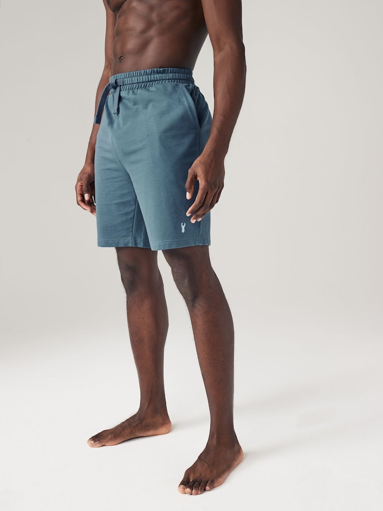 Blue/Brown Lightweight Jogger Shorts 2 Pack - Image 2 of 12