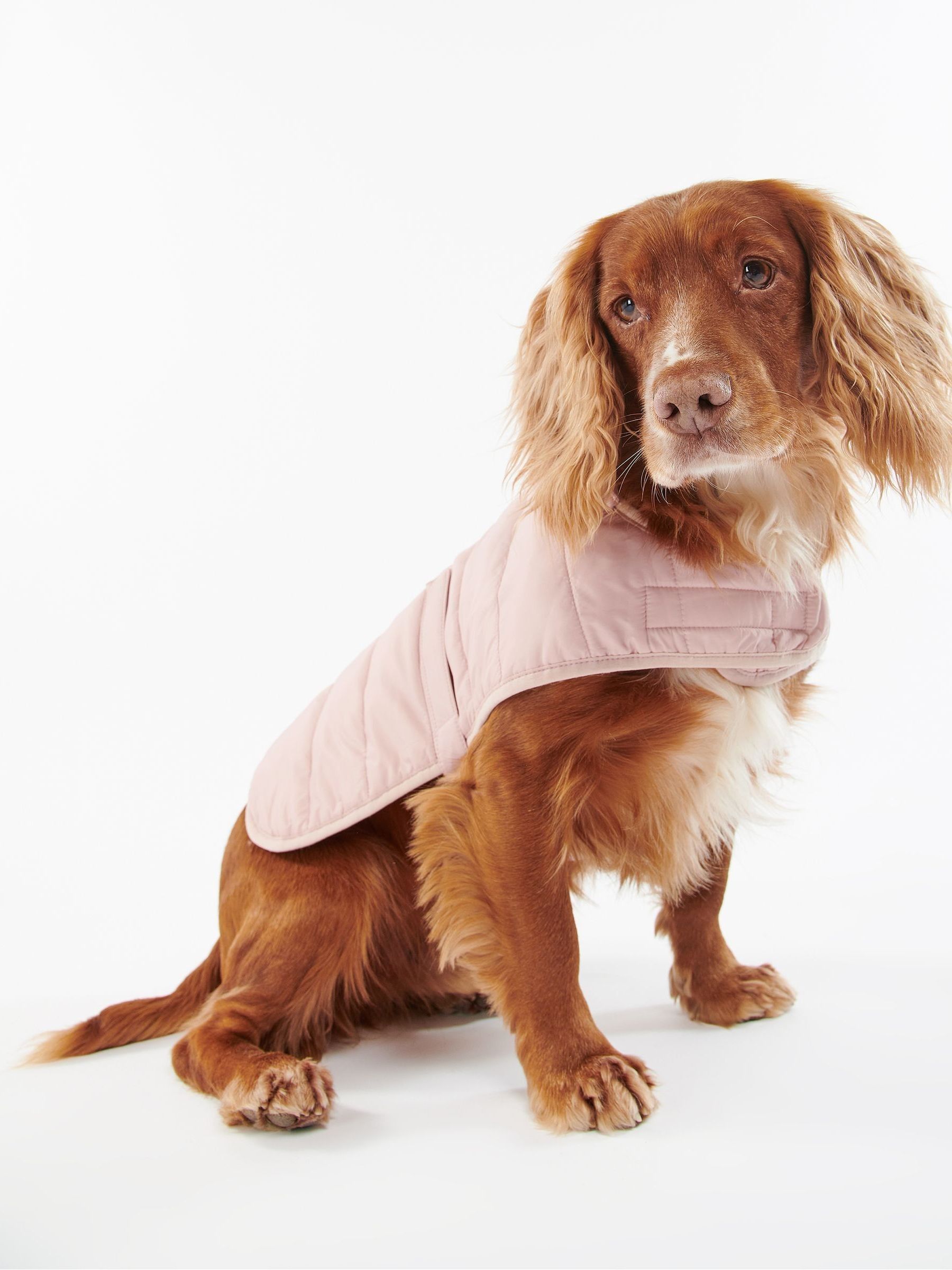 Buy Barbour Pink Baffle Quilted Dog Coat from Next Canada
