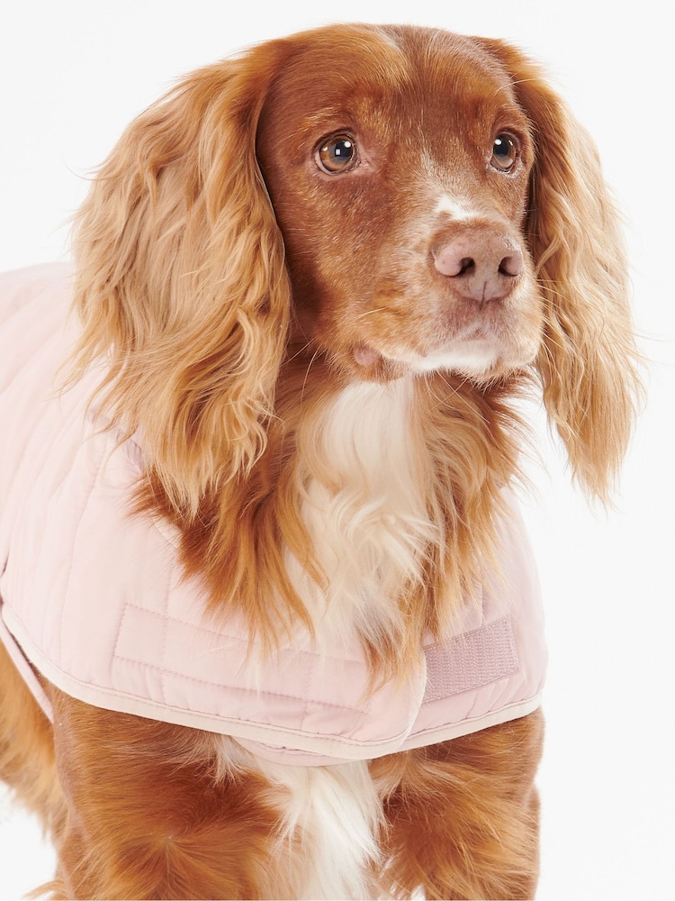 Buy Barbour® Pink Baffle Quilted Dog Coat from Next Netherlands