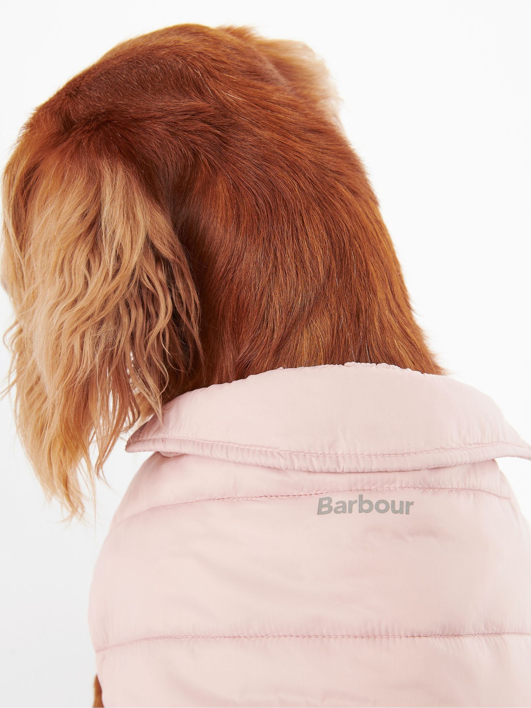 Barbour dog coat pink hot sale