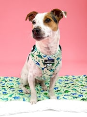 Pawsome Paws Boutique Blue Adjustable Dog Harness - Image 1 of 4