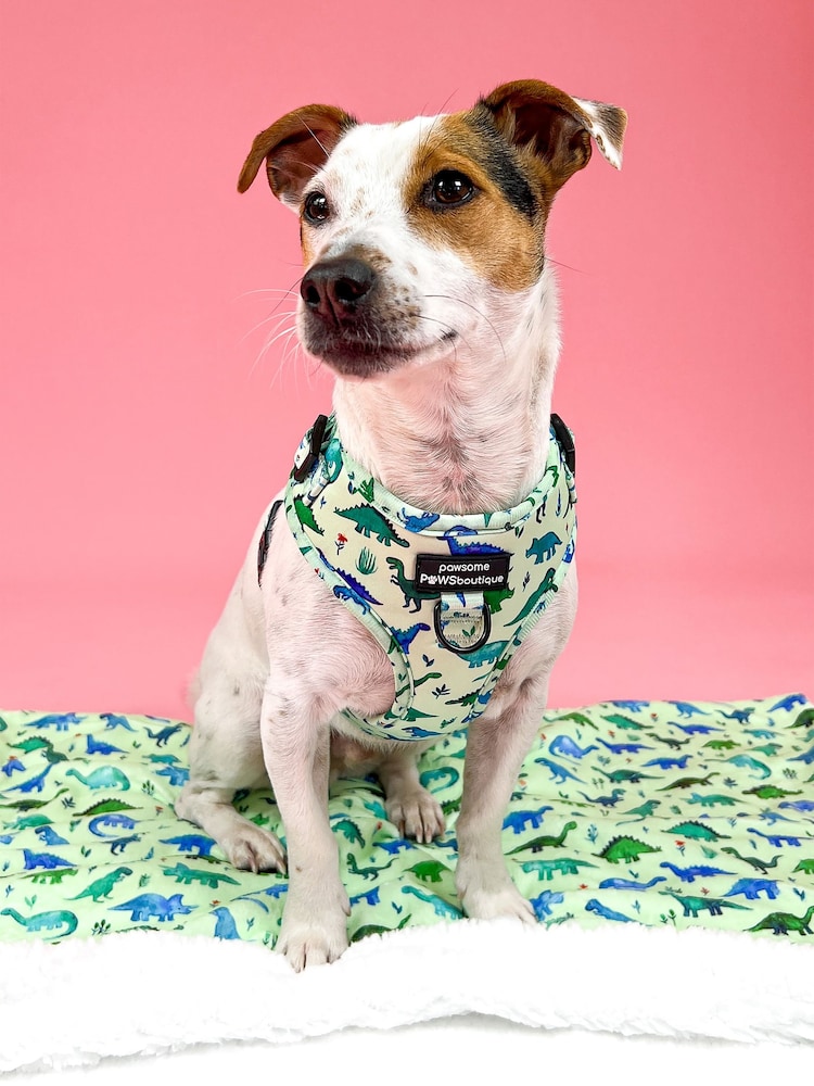 Pawsome Paws Boutique Blue Adjustable Dog Harness - Image 1 of 4