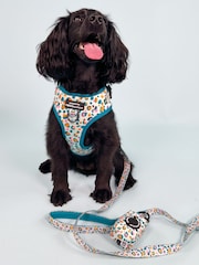 Pawsome Paws Boutique Blue Dog Lead - Image 1 of 3