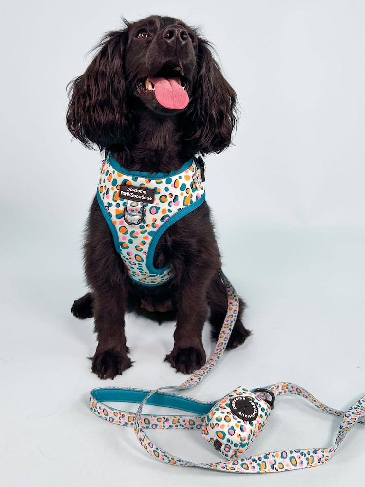 Pawsome Paws Boutique Blue Dog Lead - Image 1 of 3
