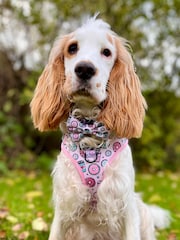 Pawsome Paws Boutique Pink Dog Poo Bag Holder And Bow Tie Set - Image 1 of 5