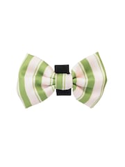 Pawsome Paws Boutique Green Dog Poo Bag Holder And Bow Tie Set - Image 3 of 5