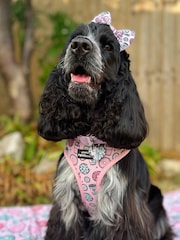 Pawsome Paws Boutique Pink Blue Adjustable Dog Harness - Image 1 of 4