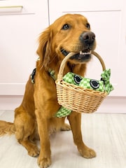 Pawsome Paws Boutique Dark Green Dog Poo Bag Holder And Bow Tie Set - Image 1 of 5