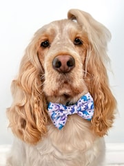 Pawsome Paws Boutique Purple Dog Poo Bag Holder And Bow Tie Set - Image 1 of 5