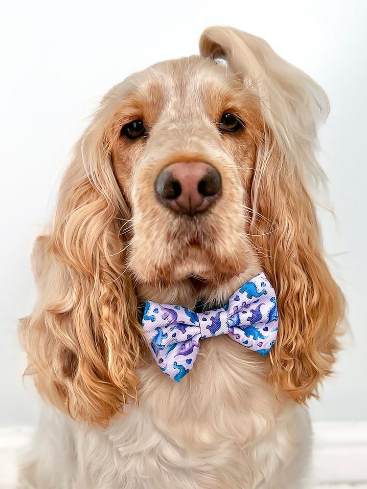Pawsome Paws Boutique Purple Dog Poo Bag Holder And Bow Tie Set - Image 1 of 5