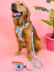 Pawsome Paws Boutique Teal Blue Dog Lead - Image 1 of 3