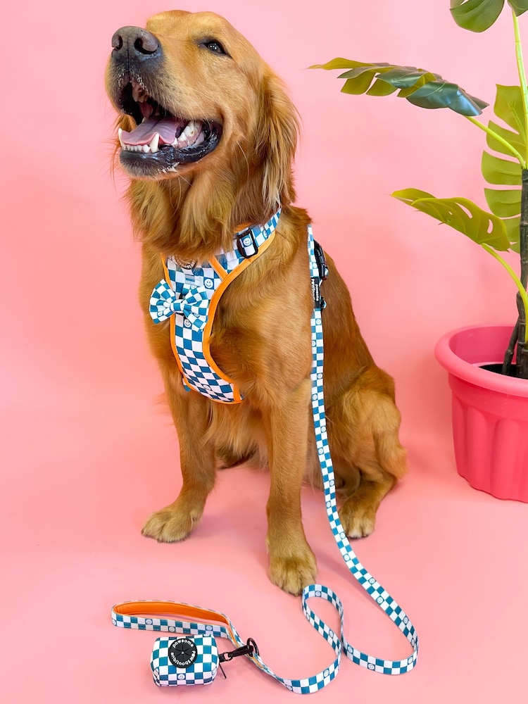 Pawsome Paws Boutique Teal Blue Dog Lead - Image 1 of 3