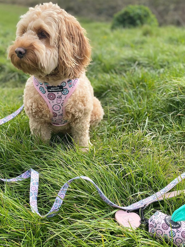 Pawsome Paws Boutique Pink Blue Dog Lead - Image 1 of 3