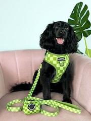 Pawsome Paws Boutique Dark Green Dog Lead - Image 1 of 3