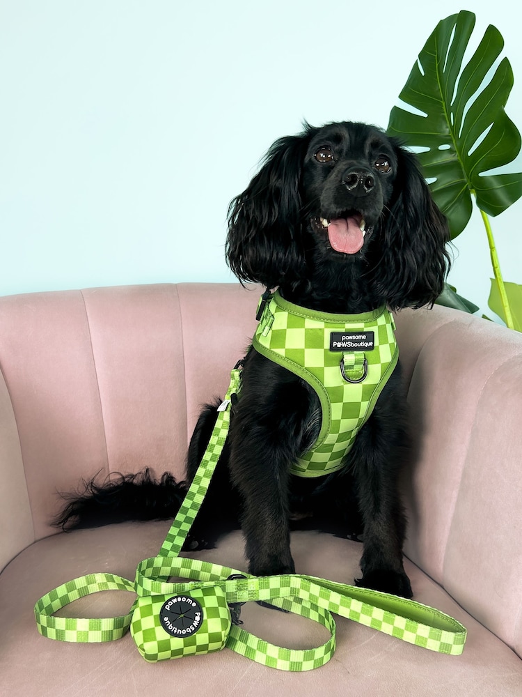 Pawsome Paws Boutique Dark Green Dog Lead - Image 1 of 3