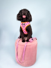 Pawsome Paws Boutique Purple Adjustable Dog Harness - Image 1 of 4