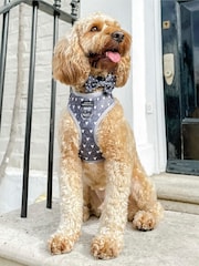 Pawsome Paws Boutique Black Dog Poo Bag Holder And Bow Tie Set - Image 5 of 5