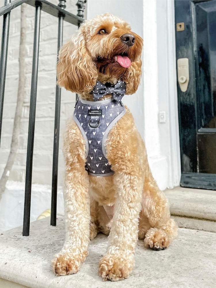 Pawsome Paws Boutique Black Dog Poo Bag Holder And Bow Tie Set - Image 5 of 5