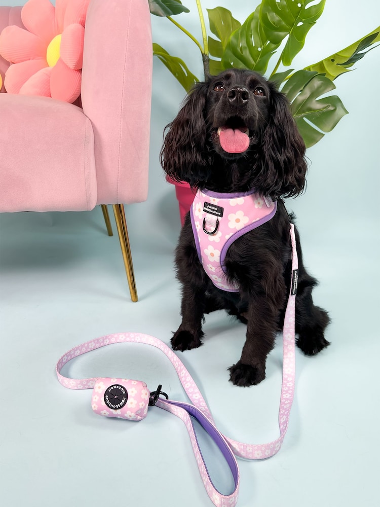 Pawsome Paws Boutique Pink Dog Collar And Lead Set - Image 1 of 4