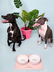 Pawsome Paws Boutique Pink Silicone Pet Placemat - Image 1 of 5