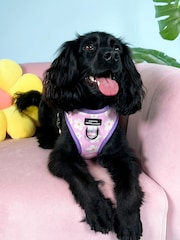 Pawsome Paws Boutique Pale Pink Adjustable Dog Harness - Image 1 of 4