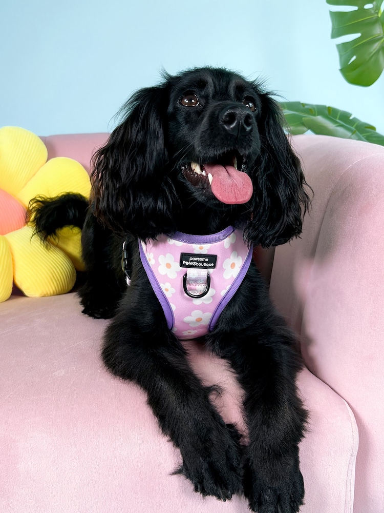 Pawsome Paws Boutique Pale Pink Adjustable Dog Harness - Image 1 of 4