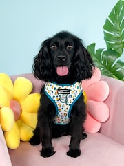 Pawsome Paws Boutique Blue Adjustable Dog Harness - Image 1 of 4