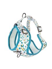 Pawsome Paws Boutique Blue Adjustable Dog Harness - Image 4 of 4
