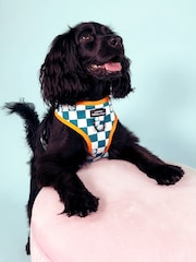 Pawsome Paws Boutique Teal White Adjustable Dog Harness - Image 1 of 4