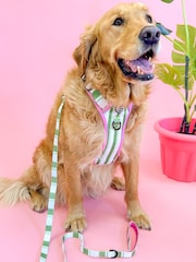 Pawsome Paws Boutique Green Dog Lead - Image 1 of 3