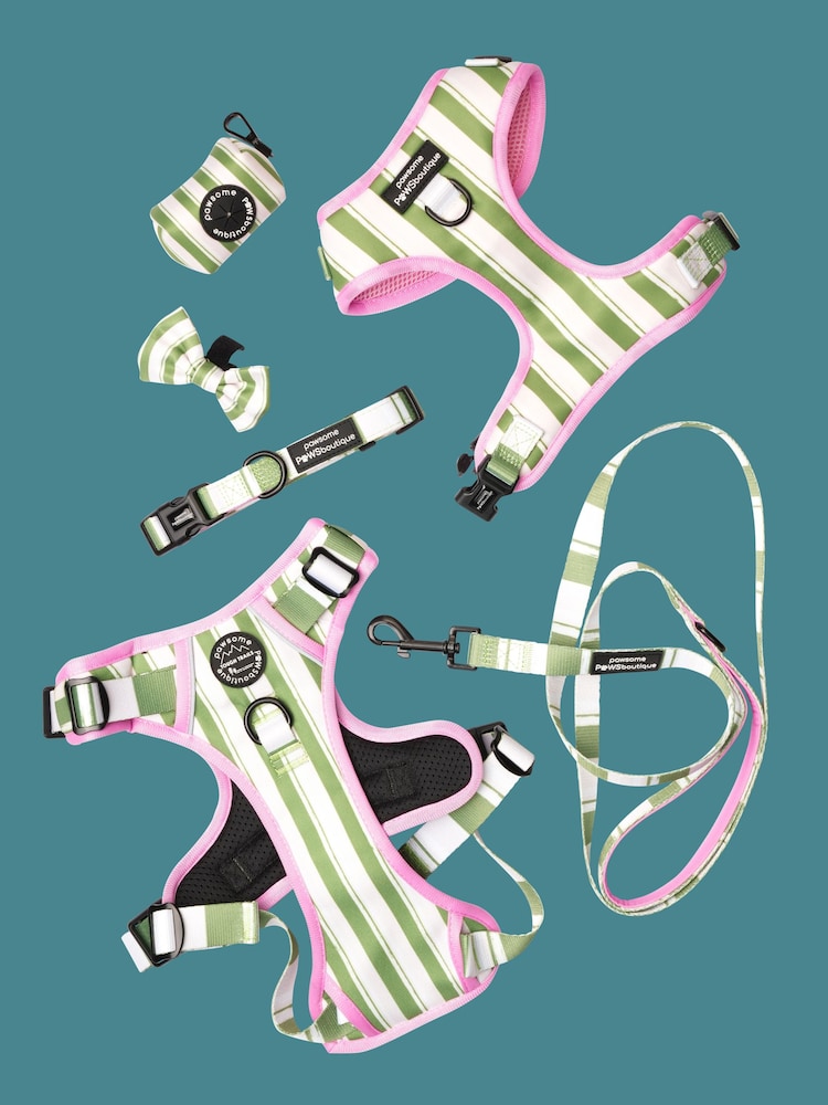 Pawsome Paws Boutique Green Adjustable Dog Harness - Image 2 of 4