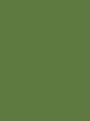 Joules Upper Bridge Green Peel and Stick Sample - Image 2 of 2