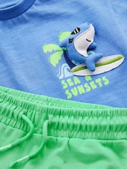 Blue/Green 100% Cotton T-Shirt And Shorts Set (3mths-7yrs) - Image 6 of 6