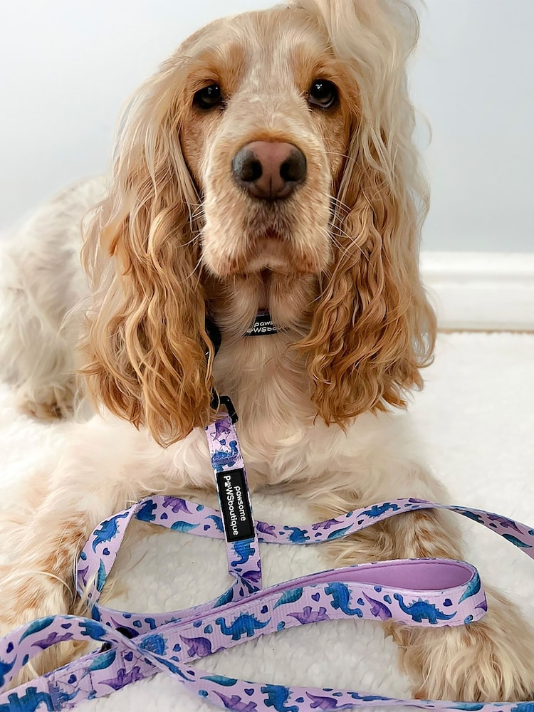 Pawsome Paws Boutique Purple Dog Collar And Lead Set - Image 1 of 4