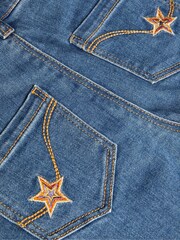 Monsoon Blue Star Detail Embroidered Jeans - Image 1 of 3