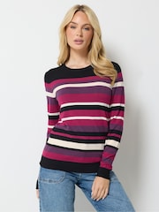 M&Co Purple Stripe Long Sleeve Jumper - Image 1 of 6