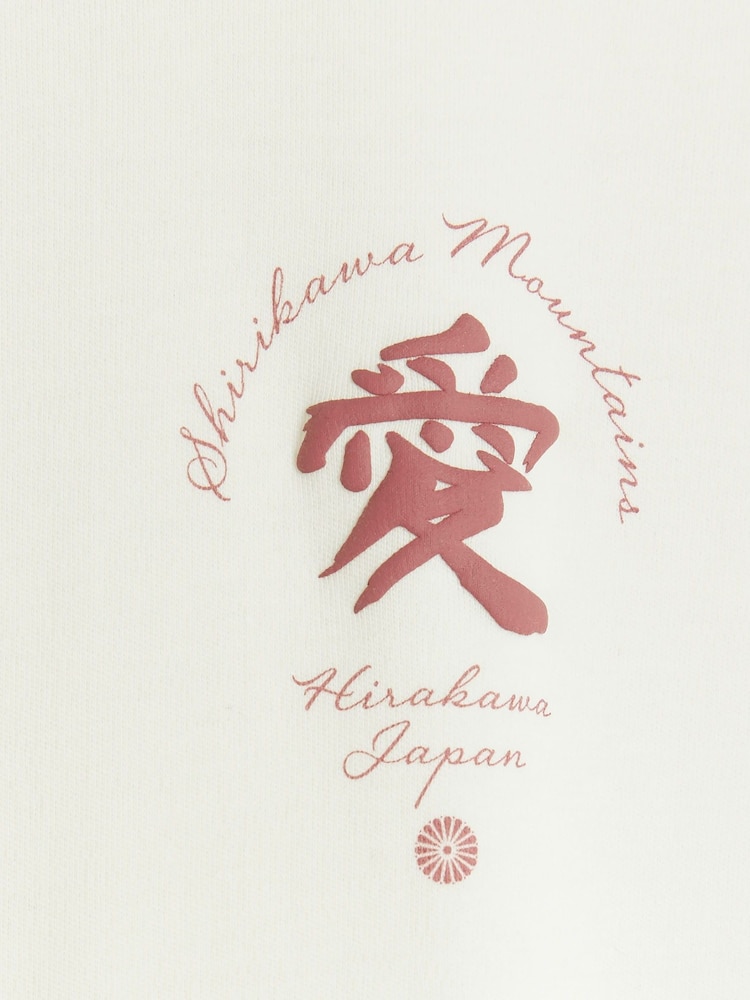 River Island White Regular Fit 100% Cotton Shirikawa Mountains T-Shirt - Image 4 of 4