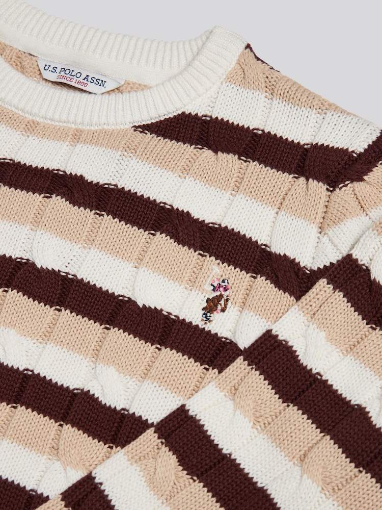 Natural - U.S. Polo Assn Stripe Crew Neck Cable Jumper - Imagen 6 de 6
