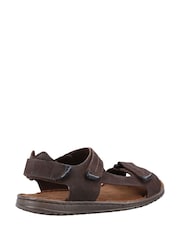Hush Puppies Brown Neville Qtr Strap Sandals - Image 3 of 4