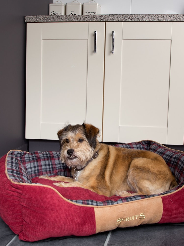 Scruffs® Red Washable Highland Tartan Small Breed Dog Bed - Image 1 of 4 Scruffs® Red Washable Highland Tartan Small Breed Dog Bed - Image 1 of 4