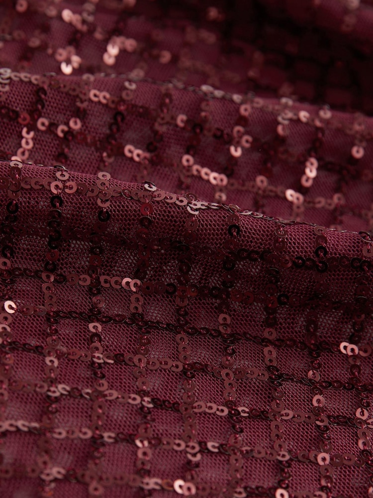Berry Red Sequin Mesh Long Sleeve Top - Image 5 of 5