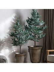 Gallery Home Green Eucalyptus Tree Dusky H1220mm - Image 1 of 4