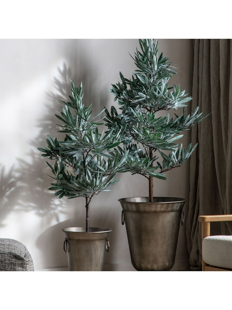 Gallery Home Green Eucalyptus Tree Dusky H1220mm - Image 1 of 4